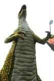 ̂